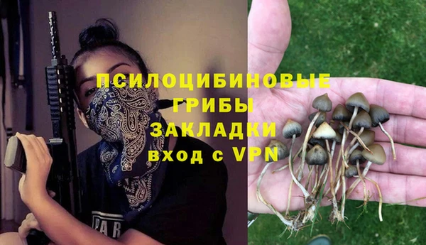 2c-b Абинск